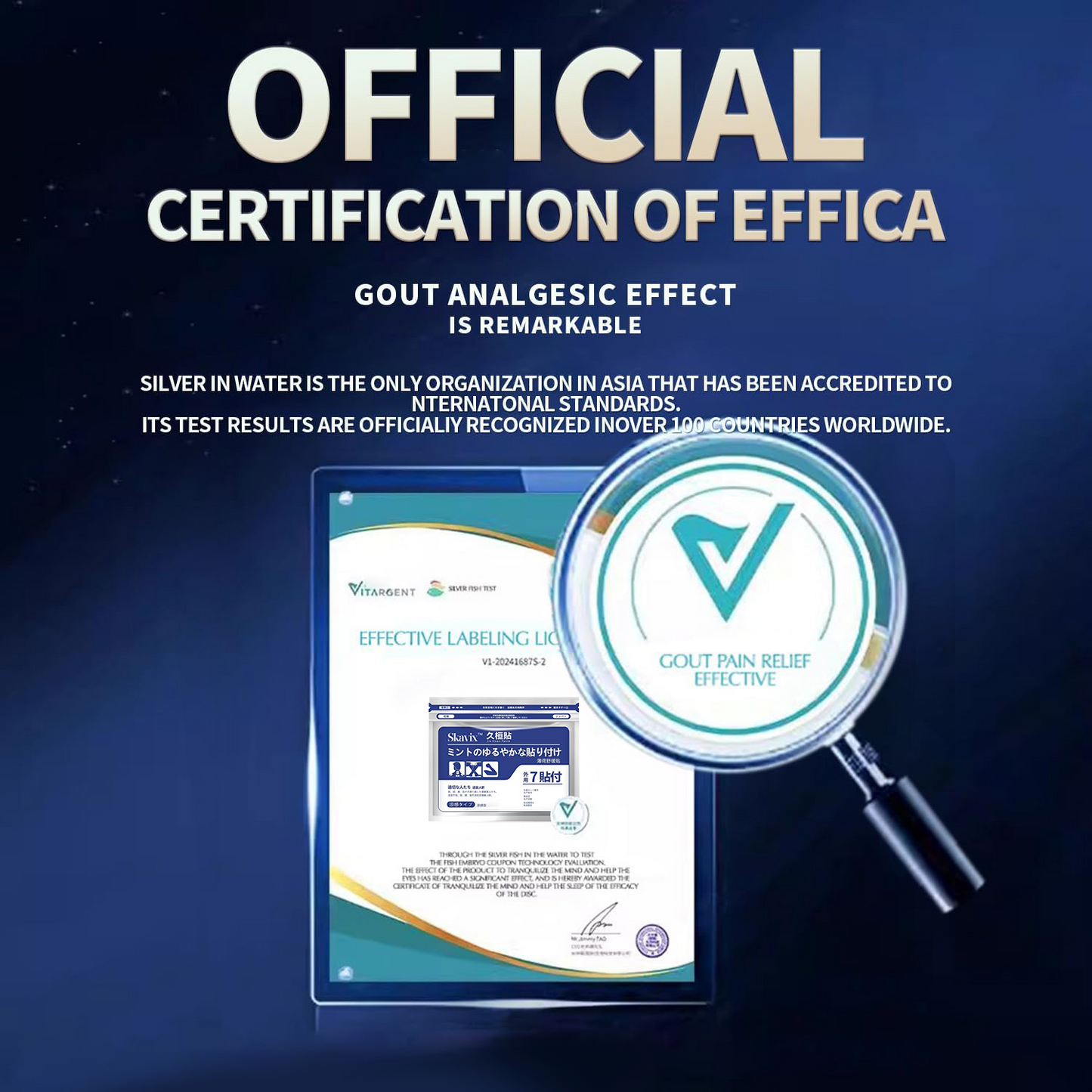 🔥 Japan's Top-Selling Items in 2025| Back Pain Patch Pain Relief Patches for Knee, Neck, Shoulder & Joint Pain, Muscle Soreness, Arthritis Relief